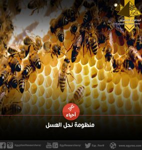 منظومة نحل العسل