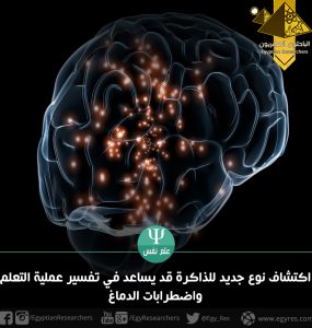 اكتشاف نوع جديد من الذاكرة