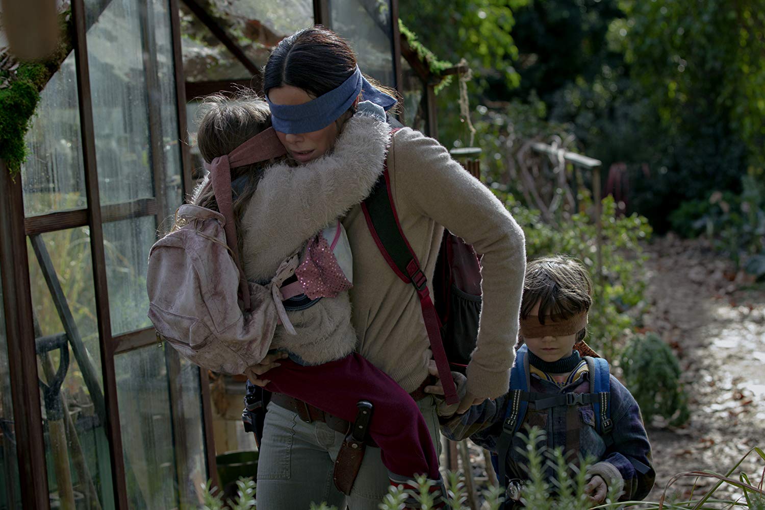 Bird Box: بين الفيلم والرواية
