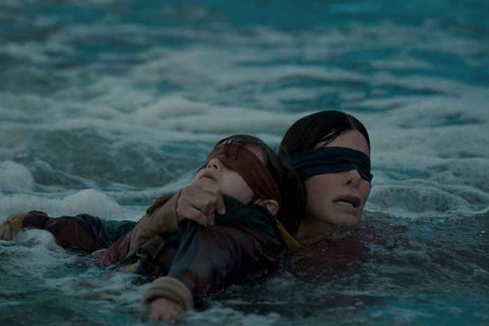 Bird Box: بين الفيلم والرواية
