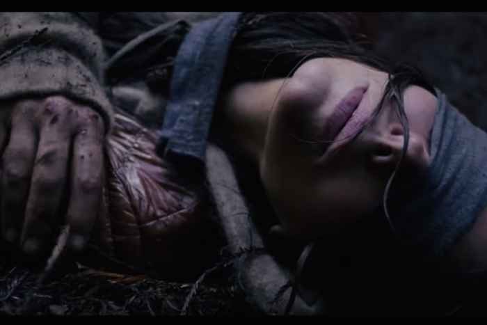 Bird Box: بين الفيلم والرواية