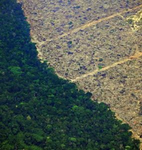 https://www.newscientist.com/article/2214734-its-officially-now-the-worst-ever-august-for-amazon-deforestation/